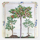 Pesquisar por medicinais adesivos Robinet