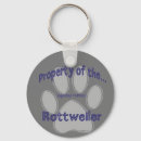 Pesquisar por propriedade chaveiros Podre