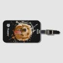 Pesquisar por pets bagagem tags Para pets