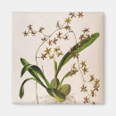 Pesquisar por raiz quadrada imas Colorido