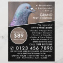 Pesquisar por pombos flyers Para todos