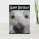 Pesquisar por west highland terrier cartoes Funny