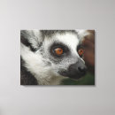 Pesquisar por limão impressão de canvas Animais
