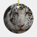 Pesquisar por tigre branco ornamentos Gato grande