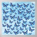 Pesquisar por borboletas azuis da borboleta pôsteres pósteres Colheita