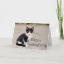 Pesquisar por tuxedo kitten cartoes Feriado