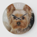 Pesquisar por yorkshire relogios de parede Yorkie