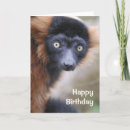 Pesquisar por lemur cartoes Animal