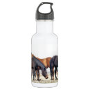 Pesquisar por animais fazenda garrafa agua Bonito