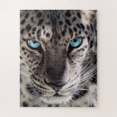 Pesquisar por leopardo azul Qualquer pessoa