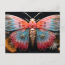 Pesquisar por borboleta colorida cartoes postais Galo