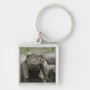Pesquisar por elefante africano chaveiros Natureza