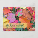 Pesquisar por imagem da floresta cartoes Para eles