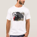 Pesquisar por galapagos camisetas Pássaro