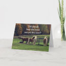 Pesquisar por ridículo cartoes Para todos