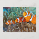 Pesquisar por palhaços cartoes postais Coral