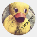 Pesquisar por ducky Pato