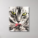 Pesquisar por cat impressão de canvas Fofofo