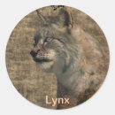 Pesquisar por lince adesivos Animais selvagens
