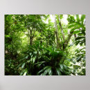 Pesquisar por dominicana pôsteres pósteres Tropical