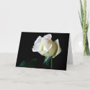 Pesquisar por amor para uma pessoa especial cartoes Rosa