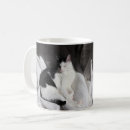 Pesquisar por foto preto e branco canecas Gato