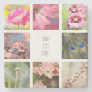 Pesquisar por fotógrafo porta copos Fotografia