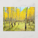 Pesquisar por talbot cartoes postais Botânico