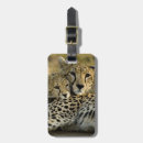 Pesquisar por savana bagagem tags Natureza