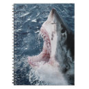 Pesquisar por make up cadernos de notas Peixe