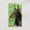 Pesquisar por filhote cachorro pinscher doberman Cães