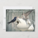 Pesquisar por birds cartoes postais Natureza
