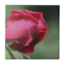 Pesquisar por da rosa vermelha azulejos Mães