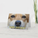Pesquisar por dog cartoes Pembroke welsh corgi