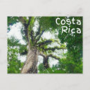 Pesquisar por costa rica fotografia Férias