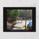 Pesquisar por espanha cartoes postais Andalucia