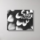 Pesquisar por pétalas e flores impressão de canvas Preto