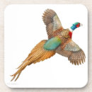 Pesquisar por pescoço porta copos Faisões