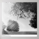 Pesquisar por ansel adams pôsteres pósteres Estados unidos