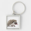 Pesquisar por do ouriço chaveiros Animais