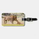 Pesquisar por macho bagagem tags Danita delimont