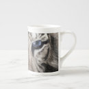 Pesquisar por tigre branco canecas Animal selvagem