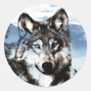 Pesquisar por de lobos adesivos Animal selvagem