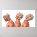 Pesquisar por anatomia pósteres Humana