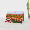 Pesquisar por funny easter cartoes Para todos