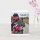 Pesquisar por andarilho cartoes Fofo