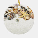 Pesquisar por concha ornamentos Oceano