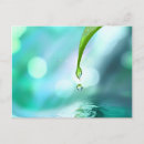 Pesquisar por reiki cartoes postais Zen