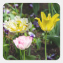 Pesquisar por tulip adesivos Para eles