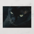 Pesquisar por panteras pretas cartoes postais Felino